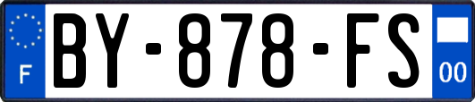 BY-878-FS