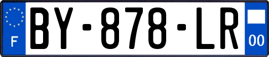 BY-878-LR