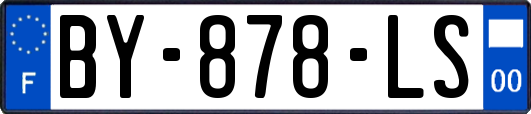 BY-878-LS