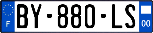 BY-880-LS