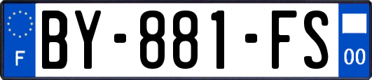 BY-881-FS