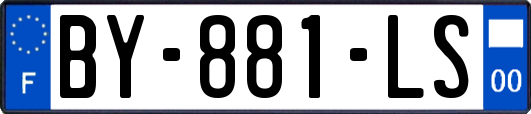 BY-881-LS