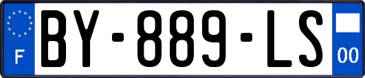 BY-889-LS
