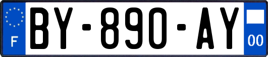 BY-890-AY