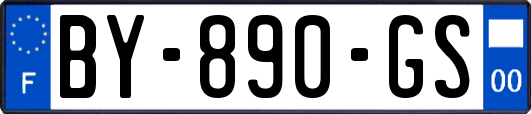 BY-890-GS