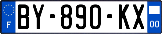BY-890-KX