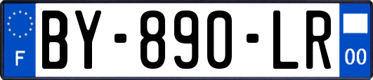 BY-890-LR