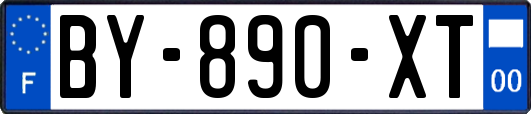 BY-890-XT