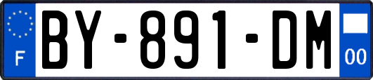 BY-891-DM