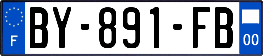 BY-891-FB