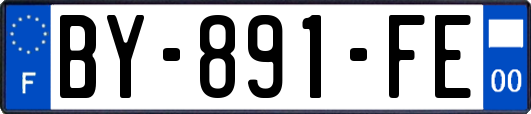 BY-891-FE