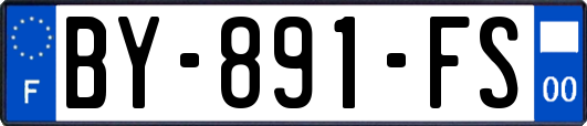 BY-891-FS