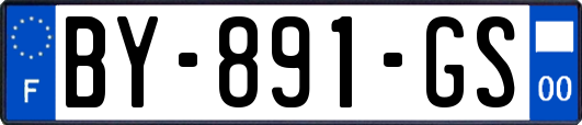 BY-891-GS