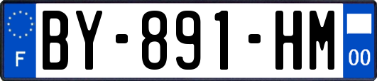BY-891-HM