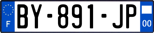 BY-891-JP