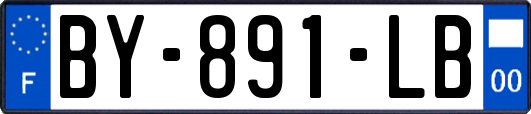BY-891-LB