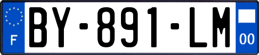 BY-891-LM