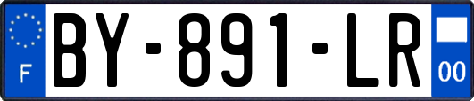 BY-891-LR
