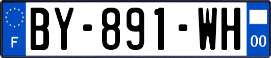 BY-891-WH