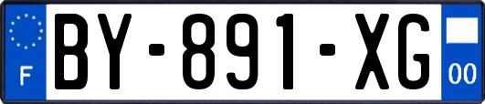 BY-891-XG