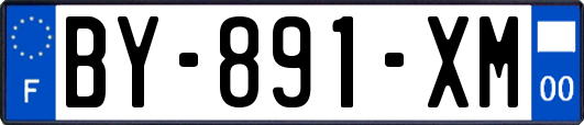 BY-891-XM