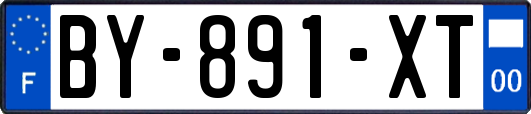 BY-891-XT