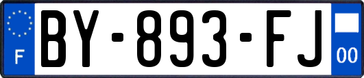 BY-893-FJ