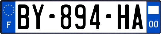 BY-894-HA