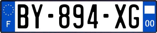 BY-894-XG