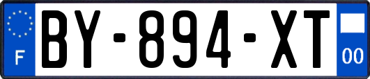 BY-894-XT