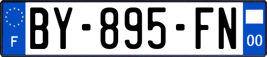 BY-895-FN