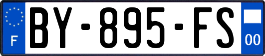 BY-895-FS