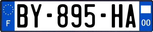 BY-895-HA