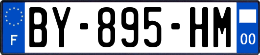 BY-895-HM