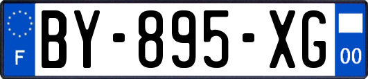 BY-895-XG