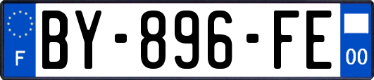 BY-896-FE