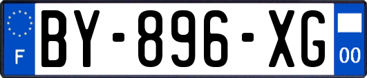 BY-896-XG