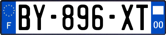 BY-896-XT