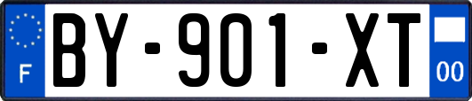 BY-901-XT
