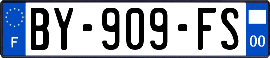 BY-909-FS