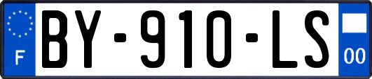 BY-910-LS