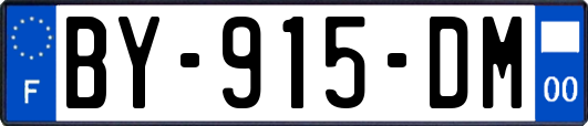 BY-915-DM