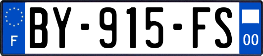 BY-915-FS