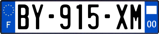 BY-915-XM