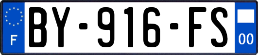 BY-916-FS