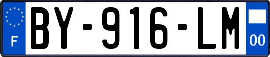 BY-916-LM