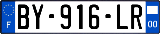 BY-916-LR