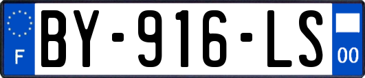 BY-916-LS