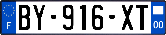 BY-916-XT