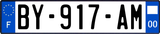 BY-917-AM